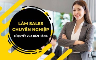 Làm Sales chuyên nghiệp – Bí quyết Vua Bán Hàng – Nguyễn Kiên Trì
